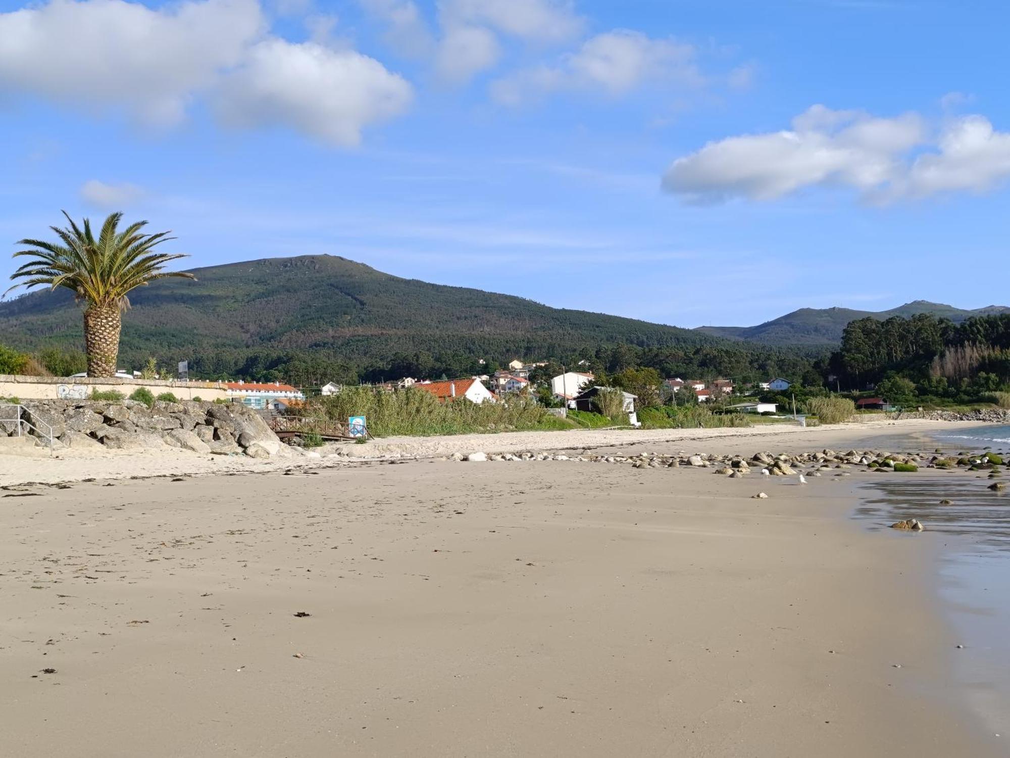 Oliveira De *